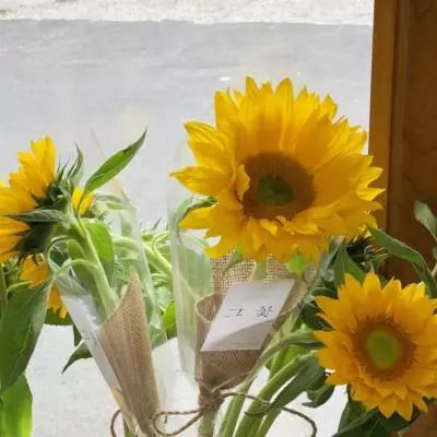 欢乐斗牛腾讯app下载